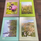 Jigsaw Puzzle Bundle - Wildflower Meadows
