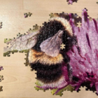 Jigsaw Puzzle Bundle - Wildflower Meadows