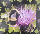 Jigsaw Puzzle Bundle - Wildflower Meadows