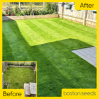 Winter Lawn Protection Kit