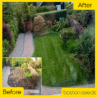 BS Economy Grass Seed