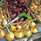 Heavy Duty Bulb and Plant Dibber