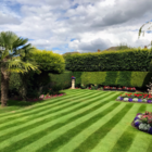 BS Prestige Lawn Grass Seed 1