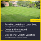 Prestige Grass Seed 2
