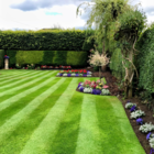 BS Prestige Lawn Grass Seed