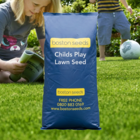 BS Childs Play Lawn Seed