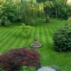BS Shade Tolerant Grass Seed