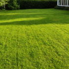 BS Winter Grass Seed