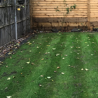 BS Winter Grass Seed