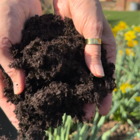 Premium All Purpose Peat Free Compost