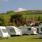 BS Caravan Park Grass Seed