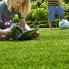 BS Childs Play Lawn Seed