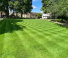 BS Quality Hard Wearing Lawn Seed