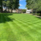 BS Quality Hard Wearing Lawn Seed