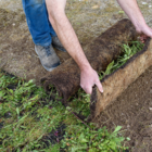 Native Enriched Wildflower Turf