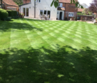BS Premium Spring & Summer Lawn and Sportsfield Fertiliser 12.5.5+