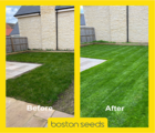 BS Premium Spring & Summer Lawn and Sportsfield Fertiliser 12.5.5+