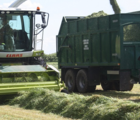 Silage and Haylage