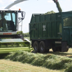 Silage and Haylage