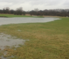 BS Waterlogged and Wet Soils Grass Seed