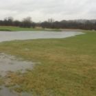 BS Waterlogged and Wet Soils Grass Seed