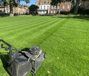 BS Quality Hard Wearing Lawn Seed
