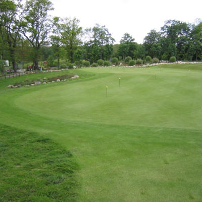 EuroGrass Pro Rye Greens Grass Seed