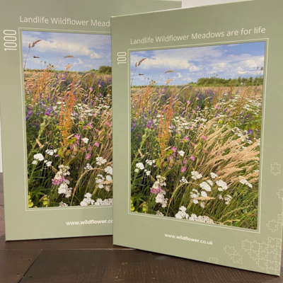Jigsaw Puzzle - Native Flora