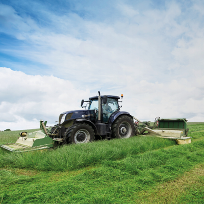 BS Aber High Sugar Grass - Medium Term Silage (With Clover) - Medium Term 3-4 Years