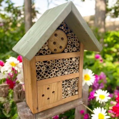 Baby Bugg Bug Hotel