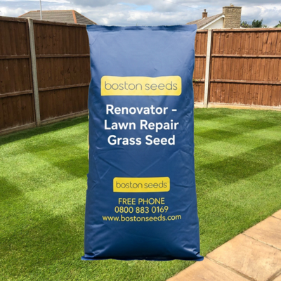 BS Renovator - Lawn Repair Grass Seed
