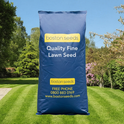 BS Quality Fine Luxurious Lawn Seed