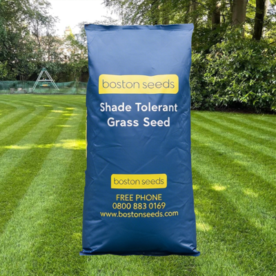 BS Shade Tolerant Grass Seed