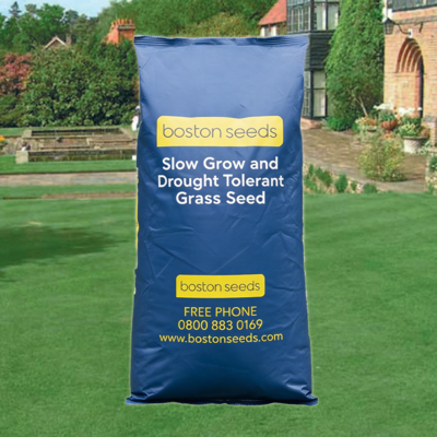 BS Slow Grow and Drought Tolerant Grass Seed