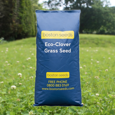 BS Eco-Clover Grass Seed