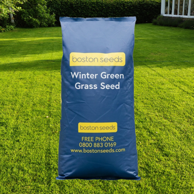 BS Winter Grass Seed