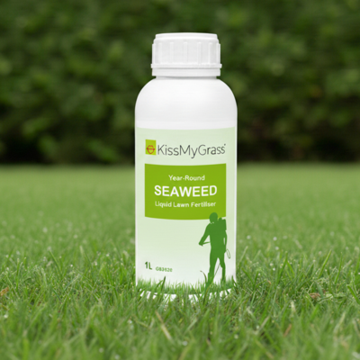 KissMyGrass Seaweed Liquid Lawn Fertiliser