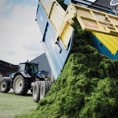 BS Arable Silage Mixture 2