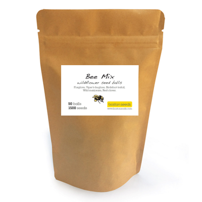 Bee Mix Wildflower Seed Balls