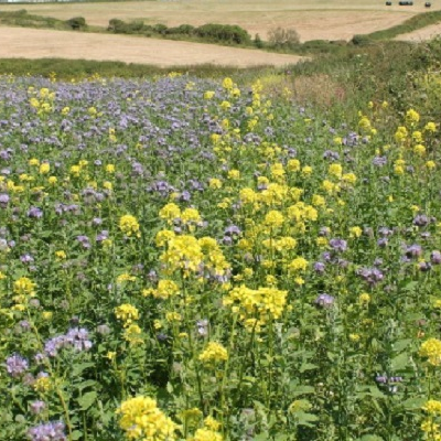 Broadshot Cover Mixture