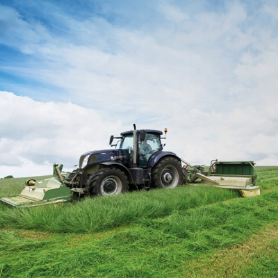 BS Aber High Sugar Grass - Long Term Multi Cut (With Clover) - Long Term Ley 5+ Years