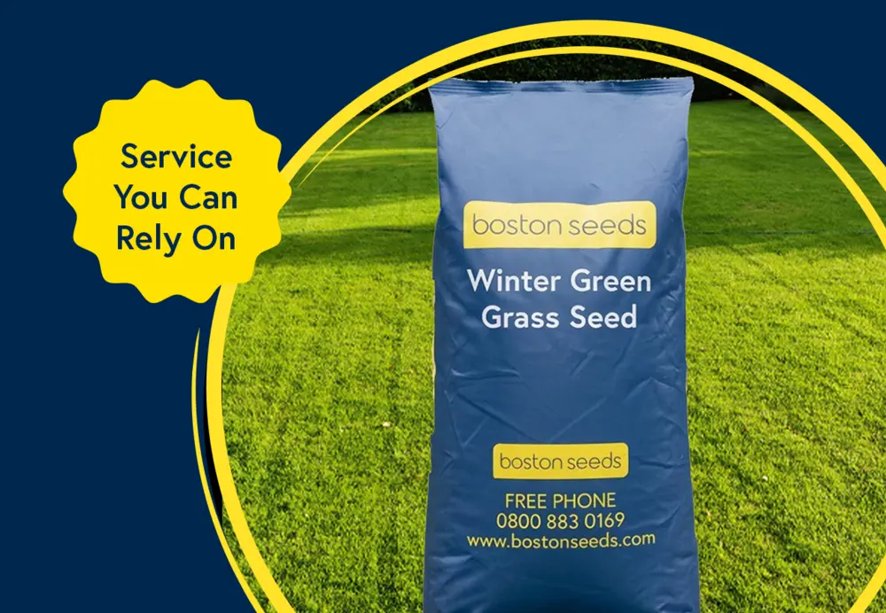 Winter Grass Seed